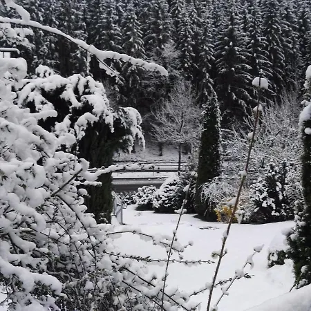 Alluring Holiday In With Sauna *